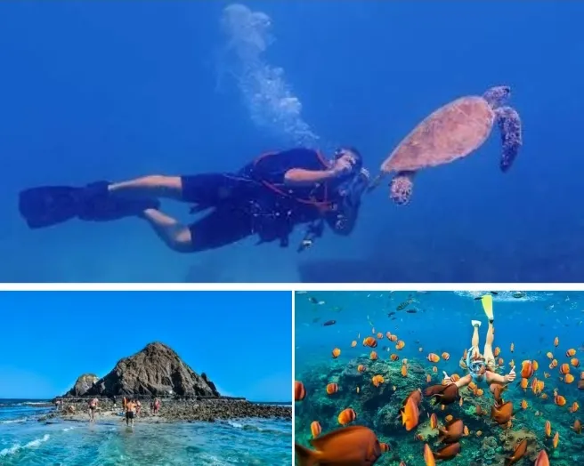 Snorkeling at Snoopy Island Fujairah